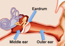 free images of double ear infection à¤¸à¤¾à¤ à¥? à¤?à¤®à¥?à¤? à¤ªà¤°à¤¿à¤£à¤¾à¤®