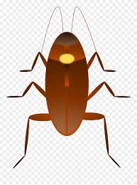 cockroach clip art barata desenho png transparent png 280895 pinclipart cockroach clip art barata desenho png