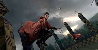 The Favorite Sport Of Witches And Wizards Everywhere Quidditch Has A Lot More To It Than You D Thin Harry Potter Quidditch Harry Potter Quiz Harry Potter Film