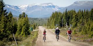Radtouren Entdecken Sie Norwegen Mit Dem Fahrrad