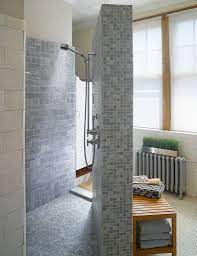 Bathroom Doorless Shower Doorless Shower Design Small Bathroom With Shower
