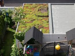 Garten, dach + fassade — unser angebot. Pflanzen Statt Kies Flachdach Der Garage Einfach Begrunen