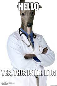 Dr Dog Memes Quickmeme