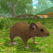 Maybe you would like to learn more about one of these? Mouse Simulator Rat Rodent Animal Life Aplikasi Di Google Play