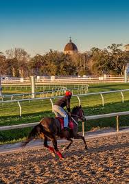 Live odds, betting, horse bios, travel info, tickets, news, and updates from churchill downs race track. Obs Restricts Louisiana Horses From Upcoming Sale Bloodhorse