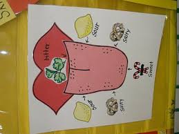 5 Senses Taste Senses Preschool 5 Senses Preschool Five Senses Preschool