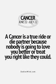 Crabs are highly sensitive to their environments, as well as extremely protective of themselves. Pin On Cancers Are The Best