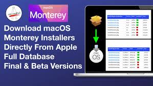 The shortcuts app is now available on the mac to achieve 'peak productivity'. 6ywab76q9lm6um