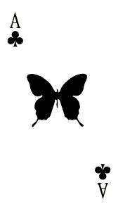 When a fan said the song butterfly is about loving someone who is suicidal it really hit different especially when you know the. Bts Butterfly Card Card From Run Music Video Bts Tattoos Bts Wallpaper Lyrics Bts Wallpaper