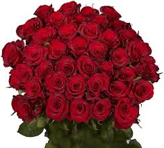 Red roses pink roses red roses pink pink red flowers rose flower high definition picture love printing application exquisite pictures practical picture picture quality macro bouquets bloom colorful romance nature tender and beautiful petals color high definition pictures manual baden wrttemberg. Amazon Com 50 Red Roses Fresh Cut Flowers Next Day Delivery Fresh Cut Format Rose Flowers Garden Outdoor