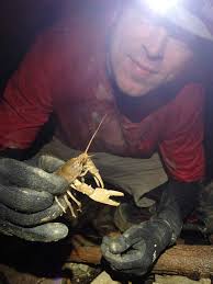 CRF Annual Report 2020