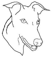 Greyhound Head Study Outline Dog Paintings Greyhound Animals