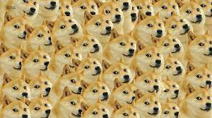 To know him is to love him. Hd Wallpaper Doge Face Memes Dog Full Frame Backgrounds Large Group Of Objects Wallpaper Flare