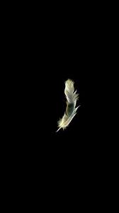 Black Background Feather Golden Feather تصویر پس زمینه مشکی سیاه پر پر طلایی Black Hd Wallpaper Black And White Wallpaper Iphone Black Wallpaper
