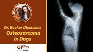Years of knowledge and expertise in pet nutrition and health helps us to offer dog and cat owners the widest possible selection of healthy foods, toys, treats, amenities along. The Holistic Pet Nutrition Center Harmony Pa 120 N Perry Hwy Harmony Pa 2021