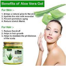 100 Bio Organic Pure Nontoxic Aloe Vera Gel For Acne Scars Glowing Skin 175ml Ebay