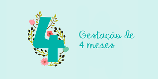 Tire Suas Duvias Sobre O 4 Mes De Gestacao Pampers