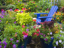 Check spelling or type a new query. 30 Flowering Container Garden Ideas