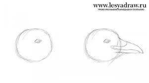 Disegniamo Un Corvo Come Disegnare Un Corvo Lezione Di Disegno Disegnare Un Corvo In Piu Fasi Per I Bambini Per stampare l'immagine desiderata, passaci sopra con il mouse e polpetta di gatto con pollo.