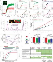 Pixel experience rom for redmi note 4. Quantifying Single Cell Erk Dynamics In Colorectal Cancer Organoids Reveals Egfr As An Amplifier Of Oncogenic Mapk Pathway Signalling Nature Cell Biology