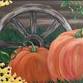 Wagon Wheel Pumpkins event image