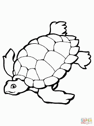 This turtle has yellow stripes on its head and dark coloring on the plastron (lower shell). Related Turtle Coloring Pages Item 12141 Turtle Coloring Pages Coloring Home