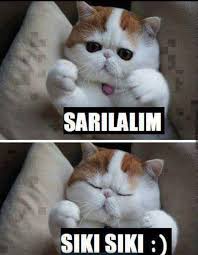 Kedi Replikleri 3 Panosundaki Pin