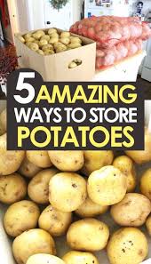 Several varieties grow well in. 5 Genius Ways To Store Potatoes