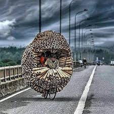 Black Bike Week Myrtle Beach 2020 Memorial Day Weekend I Captured Old Villas From Indochine Era In My Hometown Dalat Vietnam In 2020 Cool Pictures World Pictures Summer Family Pictures