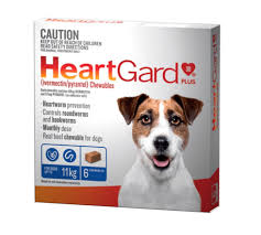 Elitehound Australia