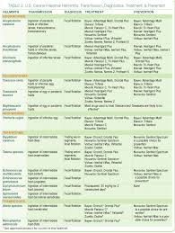 parasite protocols canine intestinal helminths todays