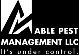 Employ the experts at able pest management to provide effective termite our termite control options. Able Pest Management Llc Effective Pest Control In Honolulu Hawaii