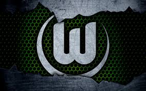 Wird der vfl wolfsburg sein logo andern nur. 23 Vflwolfsburg Ideen Vfl Wolfsburg Vfl Wolfsburg