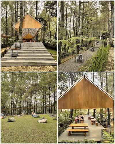 The Rainforest Table Bogor jadi resto paling viral 2026 berkat konsep hutan buatan. Simak menu andalan dan alasan wajib dikunjungi.
