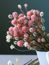 Dried strawflowersdried strawflowers are beautiful flowers that can be used for almost anything.&nbs. Strawflowers Pink 2019 Harvest Natural Air Dried Flower On Stems Dried Botanicals Potpourri Patterer Crafts