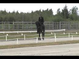 Hafðu einnig tilbúin gögn sem þú getur keypt einnig færðu hjálp frá okkur ef þú þarft á einhverju samráði að halda vegna markaðsherferða með. Hrannar Fra Flugumyri Ii By Siggi Levy