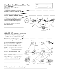 Worksheets On Food Chains And Food Webs Food Web Worksheet Food Chain Worksheet Science Worksheets