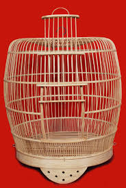 Sebelum merakit kandang, terlebih dulu kita membuat kata kunci untuk artikel ini: Kurungan Bekisar Beo Ayam Alas Sangkar Murai Satap9 Com