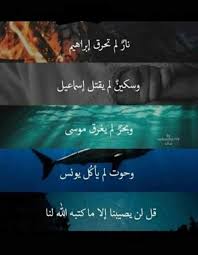 لااله الاالله وحده لاشريك له له الملك وله الحمد وهو على كل شي قدير. Ù„Ø§ Ø¥Ù„Ù‡ Ø¥Ù„Ø§ Ø§Ù„Ù„Ù‡ ÙˆØ­Ø¯Ù‡ Ù„Ø§ Ø´Ø±ÙŠÙƒ Ù„Ù‡ Ù„Ù‡ Ø§Ù„Ù…Ù„Ùƒ ÙˆÙ„Ù‡ Ø§Ù„Ø­Ù…Ø¯ ÙˆÙ‡Ùˆ Ø¹Ù„Ù‰ ÙƒÙ„ Ø´ÙŠØ¡ Ù‚Ø¯ÙŠØ± Ø§Ù…Ø¨Ø±Ø§Ø·ÙˆØ±ÙŠØ© Ø§Ù„Ø£Ù†Ù…ÙŠ Amino