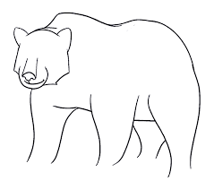 How to draw a cartoon polar bear: How To Draw A Bear In A Few Easy Steps Easy Drawing Guides