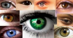 Rarest Eye Color In Humans Rare Eye Colors Eye Color Facts Eye Color