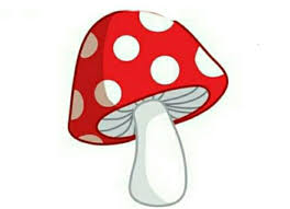 Mushroom Cartoon Mushroom Mushroom Drawing Mushroom Art Download 4,947 clipart mushrooms free vectors. mushroom cartoon mushroom mushroom