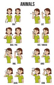 The sentence may not be translated from english word order to asl syntax nor translated based on meaning. Quotes About Baby Language 25 Quotes