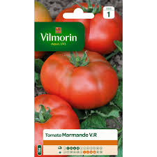 Tomate Marmande Vilmorin 1 5 G Tomates Sachets De Graines Graine De Tomate