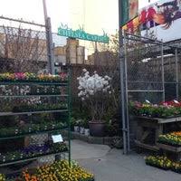 This is not to be used to contact chelsea garden center corporate offices nor is this site affiliated with them in any way. Chelsea Garden Center Now Closed Hell S Kitchen New York Ny