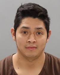 BAYS, DEREK BRENT Charge: DOMESTIC ASSAULT/CONDITIONAL RELEASE ORDER  AGGRAVATED KIDNAPPING/CONDITIONAL RELEASE ORDER TWELVE HOUR HOLD ENDS ON  06/28/2025 @ 0403 HOURS DOMESTIC ASSAULT AGGRAVATED KIDNAPPING VANDALISM  (UP TO $1,000) This information and