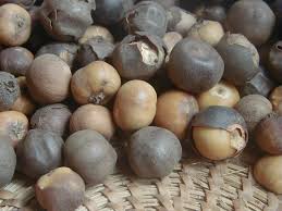 Image result for Huaceae