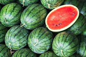 The most common variety of this type of watermelon is the 'sugar baby.' Growing Watermelon Your Guide To Plant Grow And Harvest Watermelon