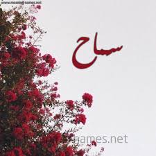 حصرى فضيحة مدرب كاراتية المحلة مع سماح زوجة الموظف الكبير للكبار فقط ممنوع اقل +18. ØµÙˆØ± Ø§Ø³Ù… Ø³ Ù…Ø§Ø­ Ù‚Ø§Ù…ÙˆØ³ Ø§Ù„Ø£Ø³Ù…Ø§Ø¡ Ùˆ Ø§Ù„Ù…Ø¹Ø§Ù†ÙŠ