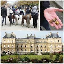 Fun Things To Do In Paris Paris Travel Paris Places To Travel